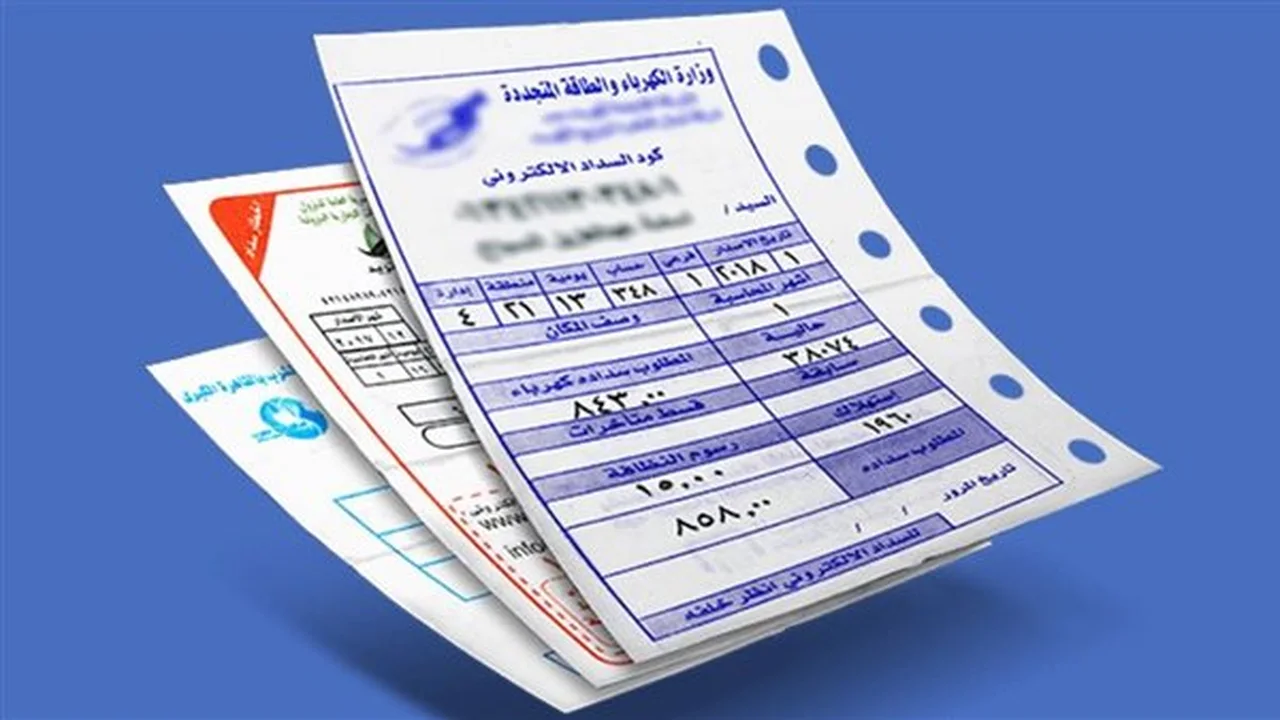 اقتراح نيابي بإضافة 30 جنيهًا على فاتورة الكهرباء لدعم مكافحة الكلاب الضالة